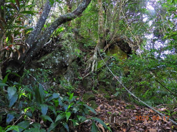 桃園 復興 美腿山、竹頭角山920924