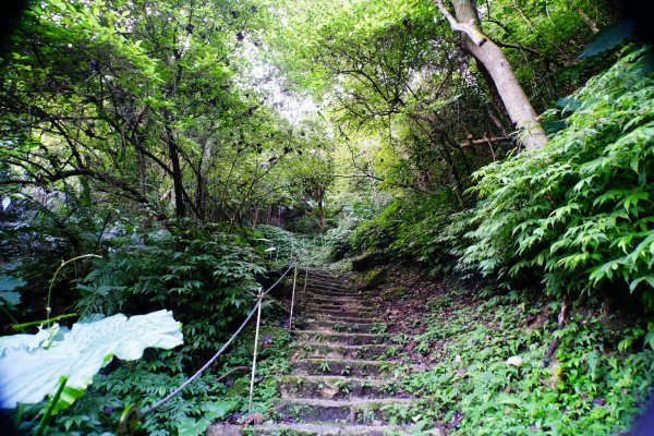 新北 土城 天上山、五城山、文筆山、五尖山、牛埔頭山、大尖山、二尖山、內冷水坑山、石門山、南天母山3134904