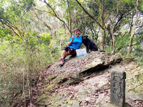 千層岩瀑布丶西阿里關山丶茅山南峰1851177