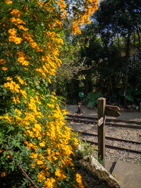 獨立山步道2961171