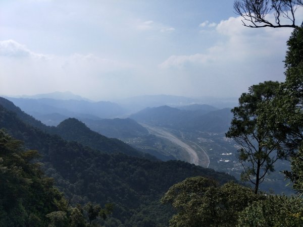 步道巡訪員 l 白毛山步道10月巡訪日誌1119419