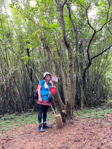 桃園五酒桶步道走南崁山-五酒桶山-山鼻山-獅仔頭山2847997