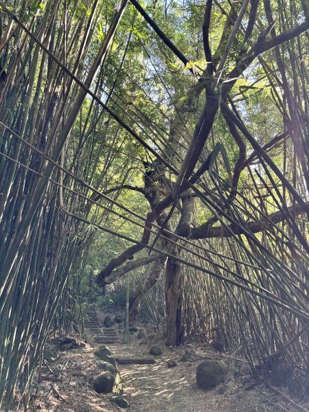 面天山、向天山、向天池2921024