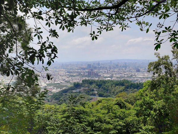 20250609 初探三汀山2806294