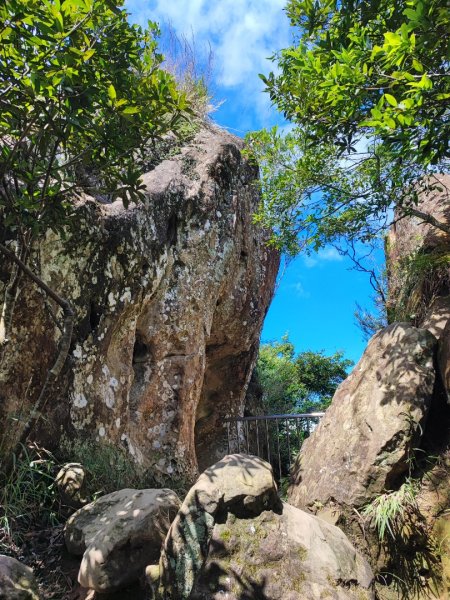 五寮尖登山步道 - (新北)臺灣百大必訪步道2312545