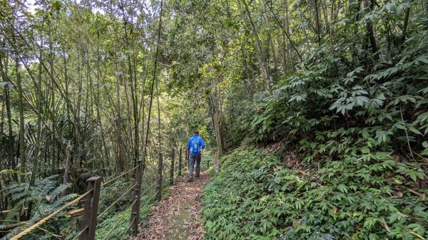 115.04.12金平山西峰-蝙蝠洞之旅3034701