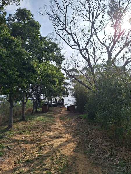 頭份鹿廚坑健行步道2734339