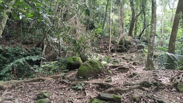 20251004 馬那邦山 - 珠湖 登山口2904930