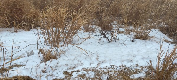 日本九州：熊本阿蘇火山草千里2997376