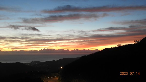 雲山水花鳥蝶 - 天龍國阿伯的日常，沒鳥也沒蝶槓龜 7/14&172217422