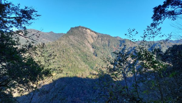 熱血一日霞喀羅賞楓之旅2784993