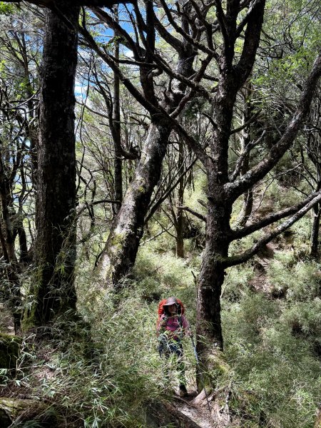 觀雲山莊經小完美谷上畢祿山O繞2917199
