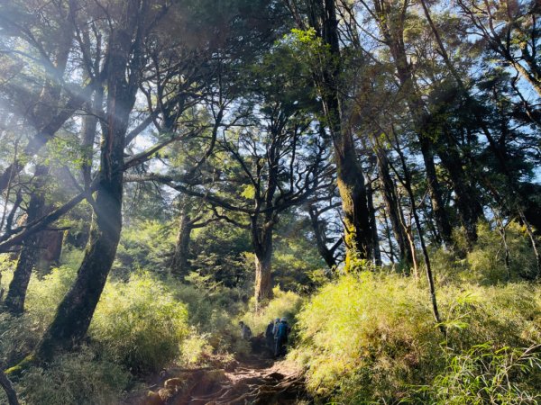 1140404二訪～塔關山2754066