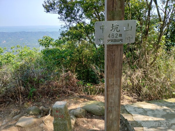 [新竹芎林]飛鳳山~芎蕉窩山...大板根1348045