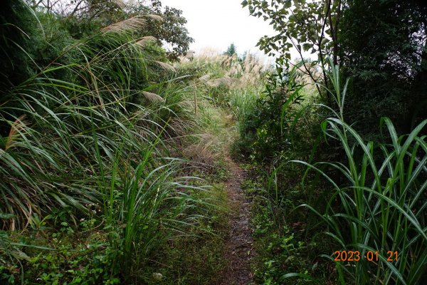 新竹 芎林 雞寮坑山、下橫坑山、芎蕉窩山、牛欄窩山2002520