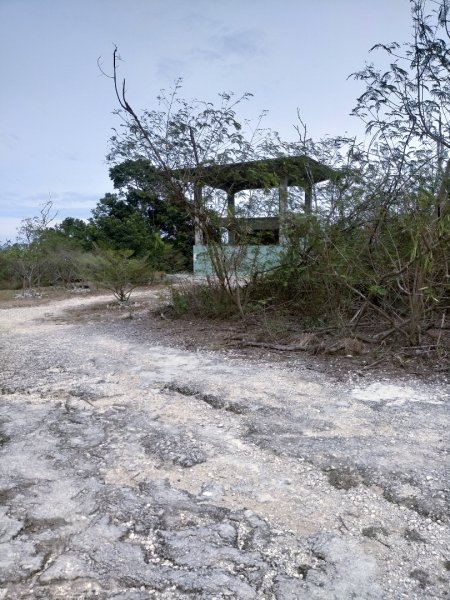 柴山之美~2934542