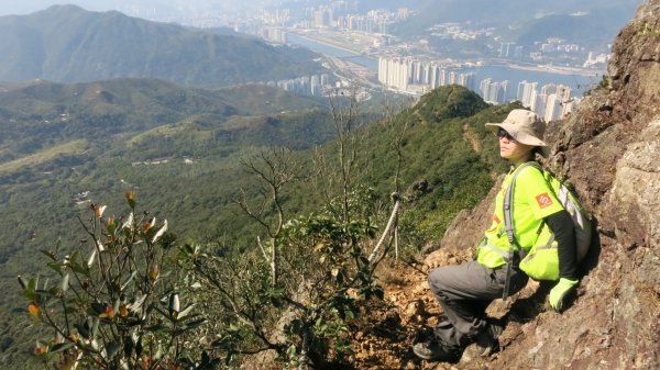 香港山系 － 九龍 • 新界934544
