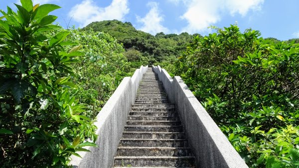 大粗坑步道,露頭步道1866714