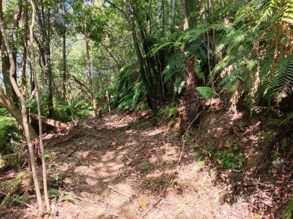 汐止區金明山B線+如意湖O型2860236