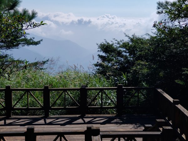 觀霧雲海山林之美2923627
