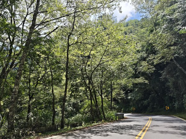 [山海圳_聖山之路_第一段] 2026_0802 自忠⮕鹿林山登山口3109089