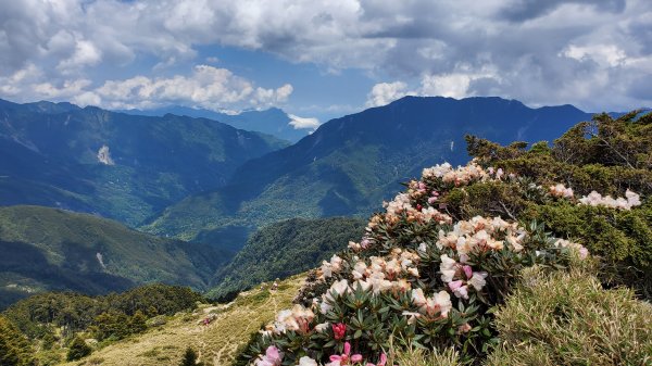 合歡東峰 小奇萊 石門山1727521