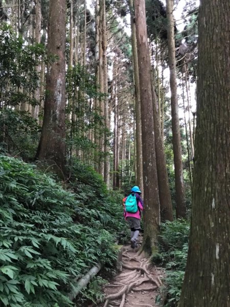 加里山鹿野線461339