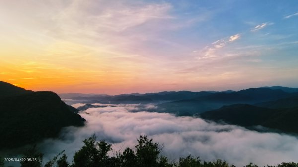 翡翠水庫壩頂 #火燒雲雲海 #日出雲海 #鱷魚島 #藍腹鷴 4/292772689
