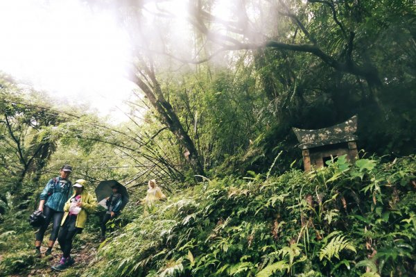 淡蘭古道中路O型988508