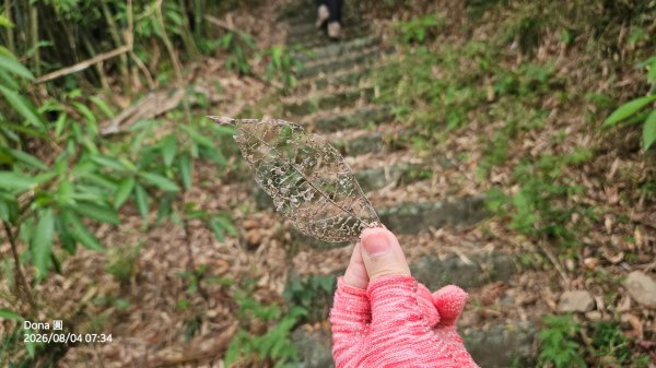 頭城農場→梗枋百年古道→坪溪古道→象寮古道→石空古道→石空山→岩藏山O型3097567