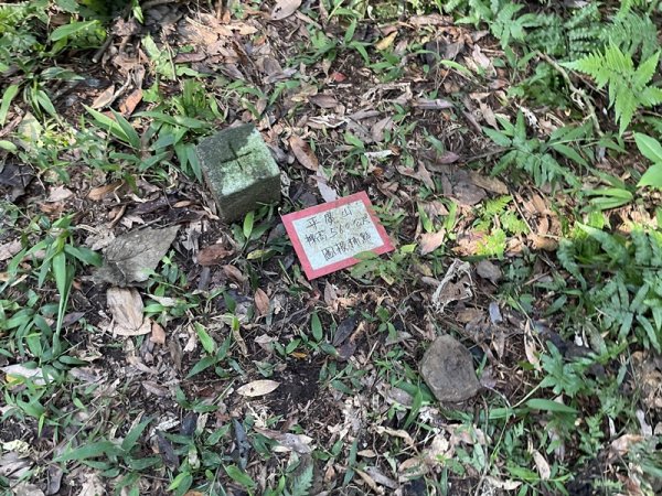 小坑山-猴洞尖-鹿鵠崙-平廣山2567689
