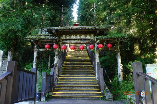 宜蘭 大同 太平山森林遊樂區1743635