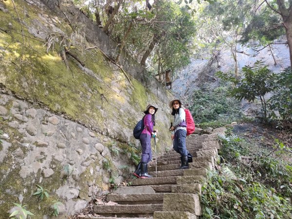 1110116 大坑四，五，三之一號步道O型一圈1584037