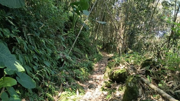 20251004 馬那邦山 - 珠湖 登山口2904893