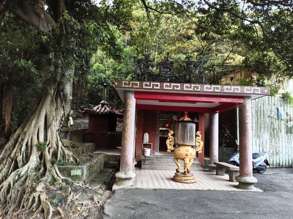 [百山百鳥尋旅-13/15] 2025_0929 圓覺寺步道2900783