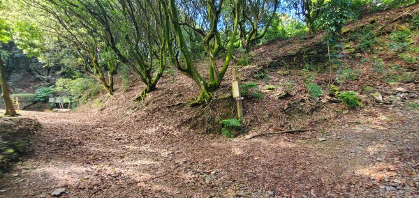 2023-10-09尾寮山登山步道2309529