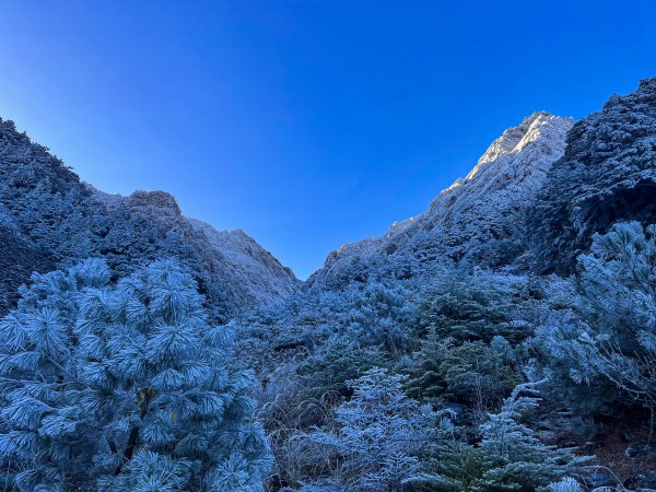 20230126~29 寒流強襲之中央尖山四日行