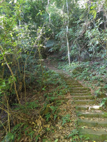 2025.11.15－鳴鳳古道2942995