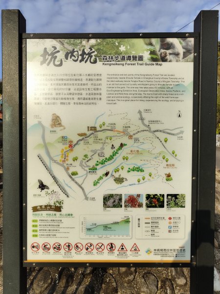 坑內坑森林步道2372119