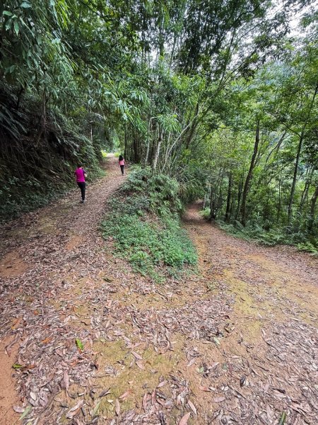 埔里能高瀑布-慶安步道-觀景台2801465
