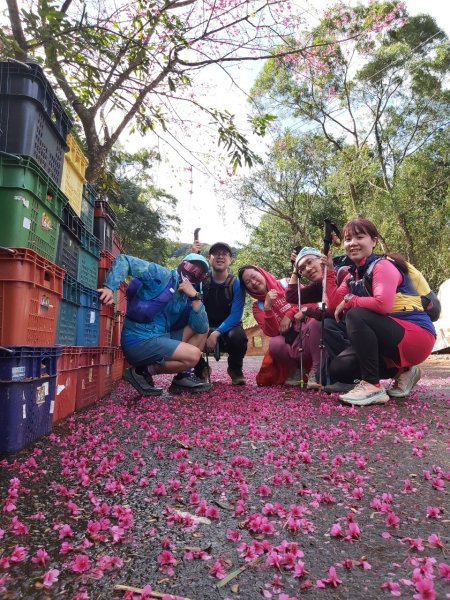 20250201貢大縱走(大石壁坑山主北峰-五酒桶山-龍崗山-吾居吾墅步道)2703738