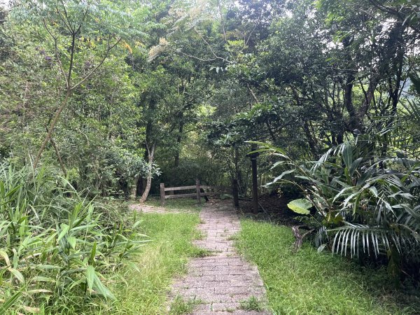 [微笑山線_ 第十段] 2025_0914 五分山系_菁桐煤礦段2889846