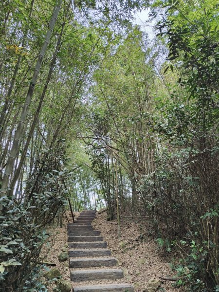 2023.12.30 雲嘉大尖山2840429