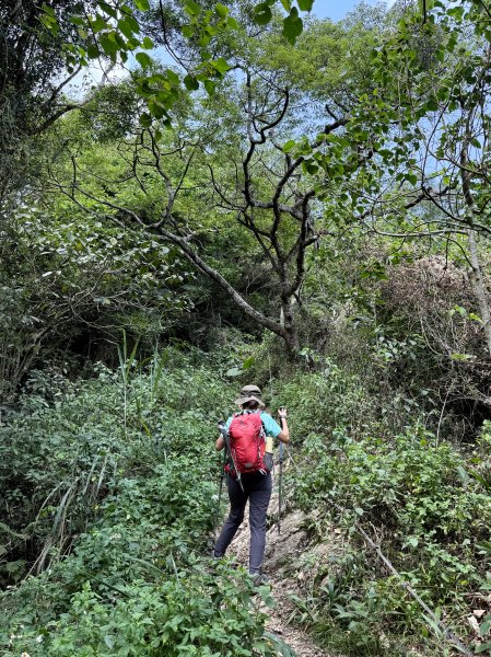 烏山縱走半程 (雲山寺~刣牛湖山) 來回 202504272773726