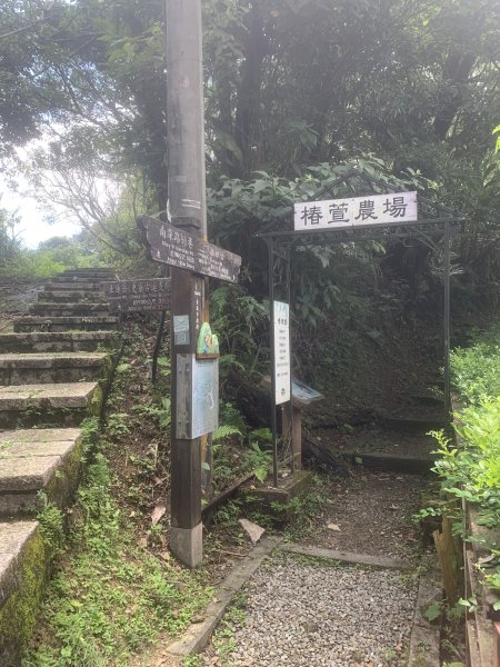 20260618更寮古道（土庫岳）3079748