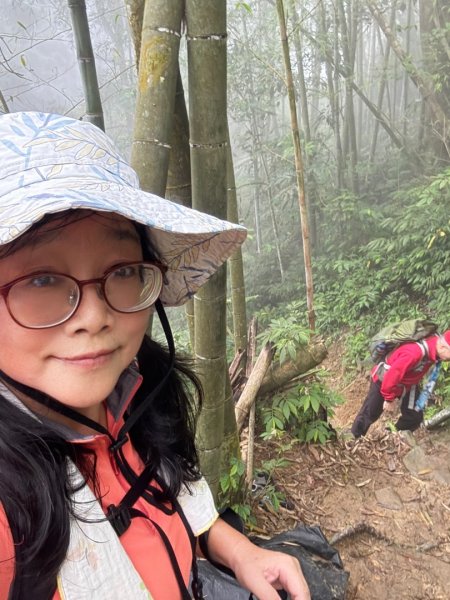 豹牙登山口上鳳凰山/小百岳#533069706