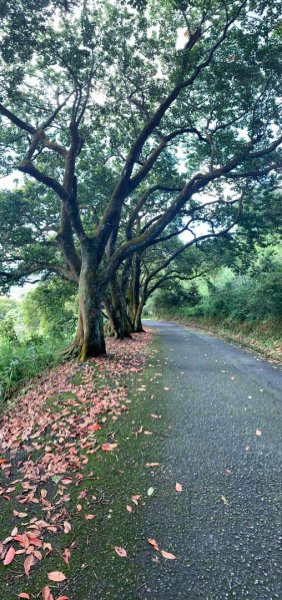 貓囒山步道（小百岳）2273281