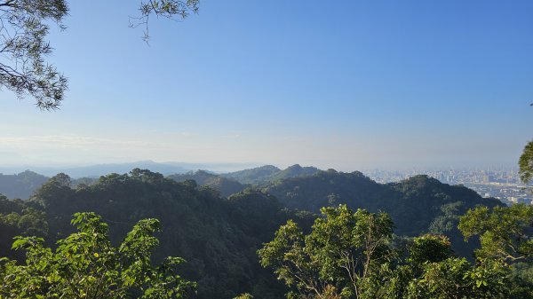 241206-小百岳#040聚興山+#042南觀音山。美美兔何以半天登上兩小百。2667352