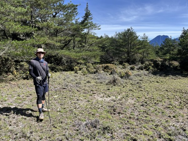 【新康橫斷】新康橫斷出瓦拉米2672372