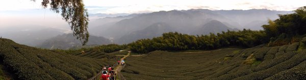 2020-2021 後棟仔 大尖山 二尖山1531727